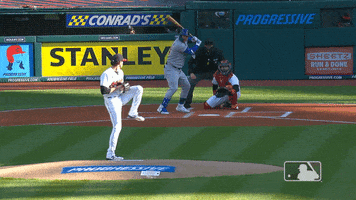 Major League Baseball Sport GIF by MLB