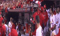 st. louis cardinals baseball GIF by MLB