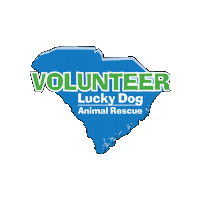 Scldar Sticker by Lucky Dog Animal Rescue