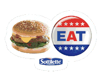 Usa Eat Sticker by Mondelez International