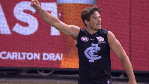 carltonfc giphyupload celebration pumped afl GIF