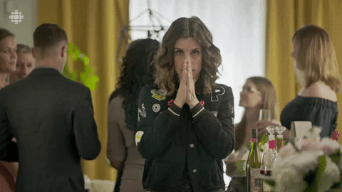 Baroness Von Sketch Show Cbc GIF