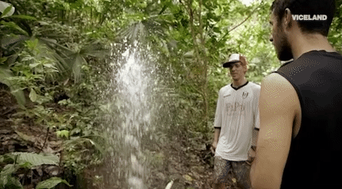 viceland GIF by JUNGLETOWN