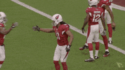 Larry Fitzgerald Football GIF by Arizona Cardinals