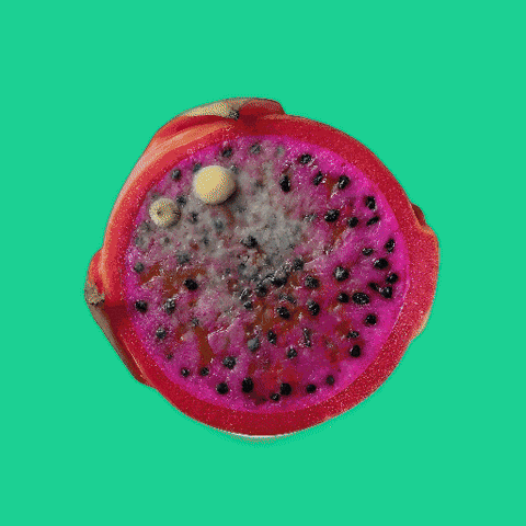 Avocado Uva GIF
