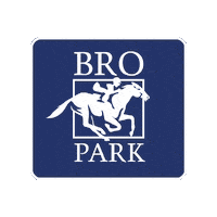 Horses Jockey Sticker by Svensk Galopp