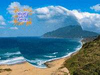 You Can Wow GIF by FranchiseONE.de