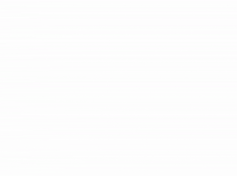 CountWolfy giphyupload cat scratch orange long cat GIF