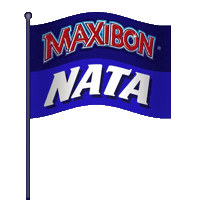 ice cream Sticker by Maxibon España