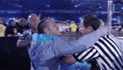 wrestlemania xxiv wrestling GIF by WWE