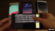 life rainbow GIF
