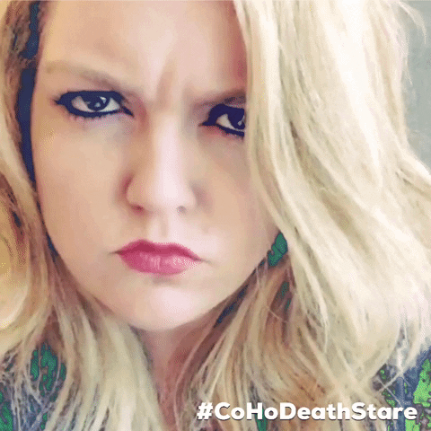 colleenhooverbooks rbf cohort colleenhoover bluesteel GIF