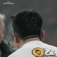 Sport Soccer GIF by Fluminense Football Club