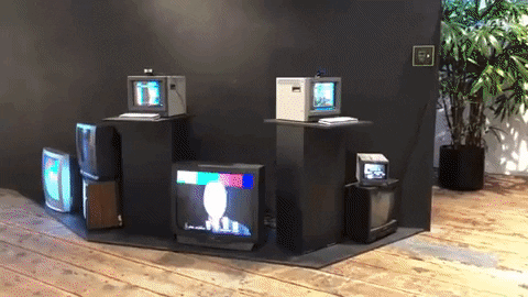 seanmulholland giphygifmaker GIF