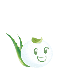 EVERSOFTMY rose avocado mochi aloevera Sticker