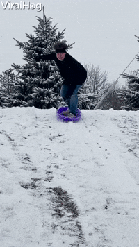 Mans Sledding Stunt Ends In A Snowy Roll GIF by ViralHog