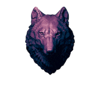 whcreative wolf 장우혁 jangwoohyuk whcreative Sticker