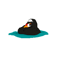 Surfscoter Sticker by RAVENTrust