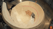 GIF by Mashable