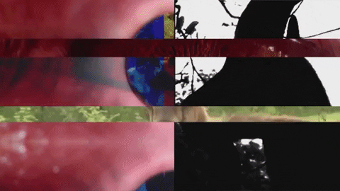 Art Video GIF by jorgemariozuleta
