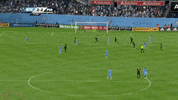 GIF by NYCFC
