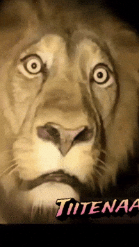 Diadia GIF