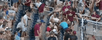 College World Series Baseball GIF by NCAA Championships