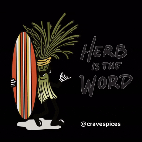 Cravespices giphygifmaker hitw cravespices herbistheword GIF