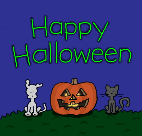 Happy Halloween GIF by Chippy the Dog