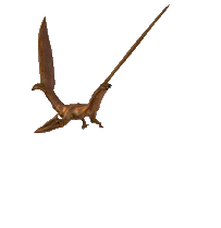 3D Flying Sticker
