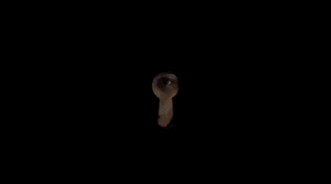 Mr Sandman Spy GIF by Signature Entertainment