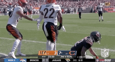 Football Sport GIF by NFL