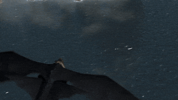 Fun Flying GIF by How To Train Your Dragon
