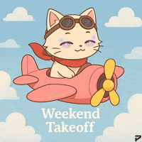 Airplane Pilot Weekend Vibes GIF by Persona