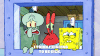 season 9 squid defense GIF by SpongeBob SquarePants