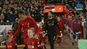 Celebration Reaction GIF by MolaTV