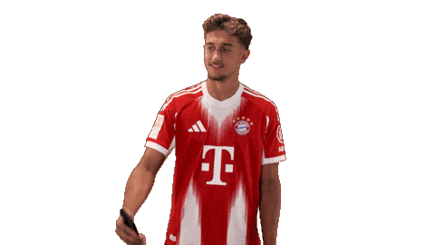 Fc Bayern Football Sticker by Bundesliga