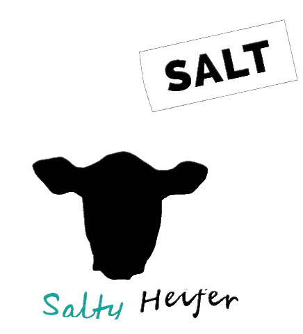 Cow Angus GIF by Ash Valley Designs