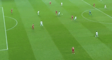 milanhuppert giphyupload GIF