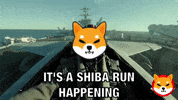 Shib Coin GIF by SHIB MEMES