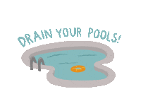 ladytrample summer skate pool skateboard Sticker