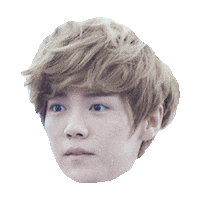 exo STICKER by imoji