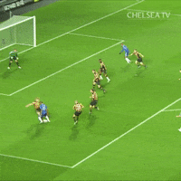 goal cfc GIF by Chelsea FC