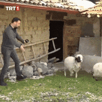 Listen One Minute GIF by TRT