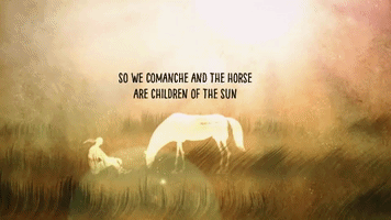 The Horse Are Children Of The Sun