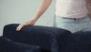 Home Pet GIF by SOFACOMPANY