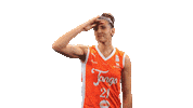 Basketball Horizon Sticker by Tango Bourges Basket