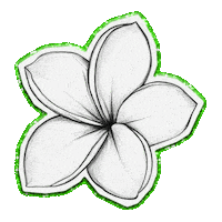 Flower Miami Sticker by lenay