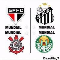 Dzedits7 meme futebol palmeiras santos GIF