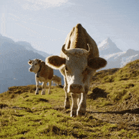 Watch Out Hello GIF by Ricola USA